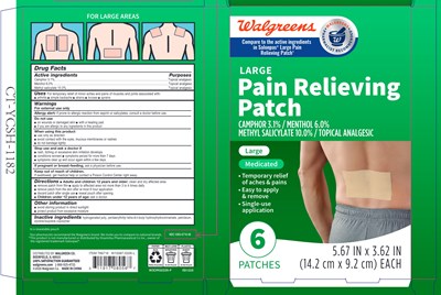 Carton (766716 Walg Pain Relieving Patch 1)